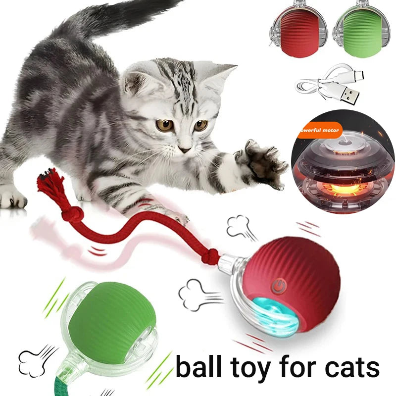 Automatic Interactive Cat Ball Toy – Rechargeable Smart Play