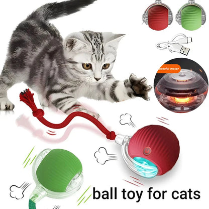 Automatic Interactive Cat Ball Toy – Rechargeable Smart Play
