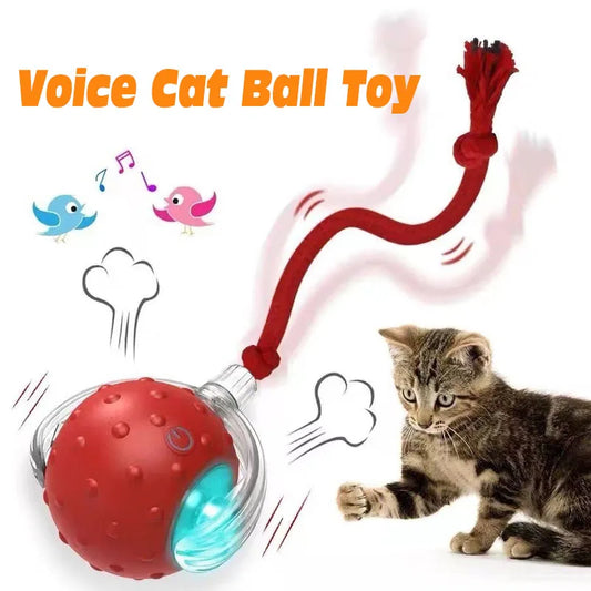 Automatic Interactive Cat Ball Toy – Rechargeable Smart Play